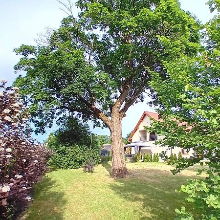 Pokoje Goscinne Sloneczny Klon Dabrowno Dabrówno Exterior foto