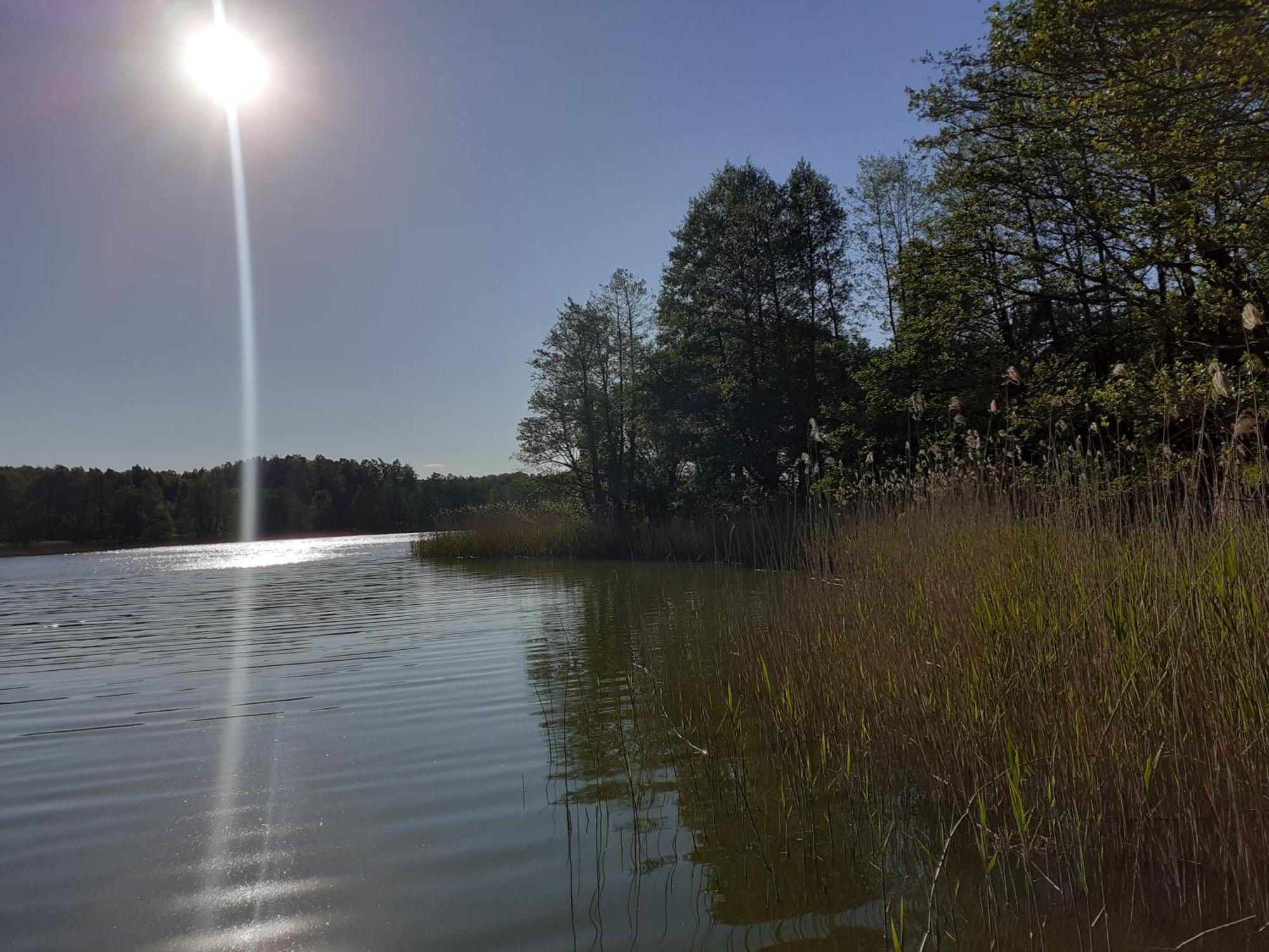 Pokoje Goscinne Sloneczny Klon Dabrowno Dabrówno Exterior foto