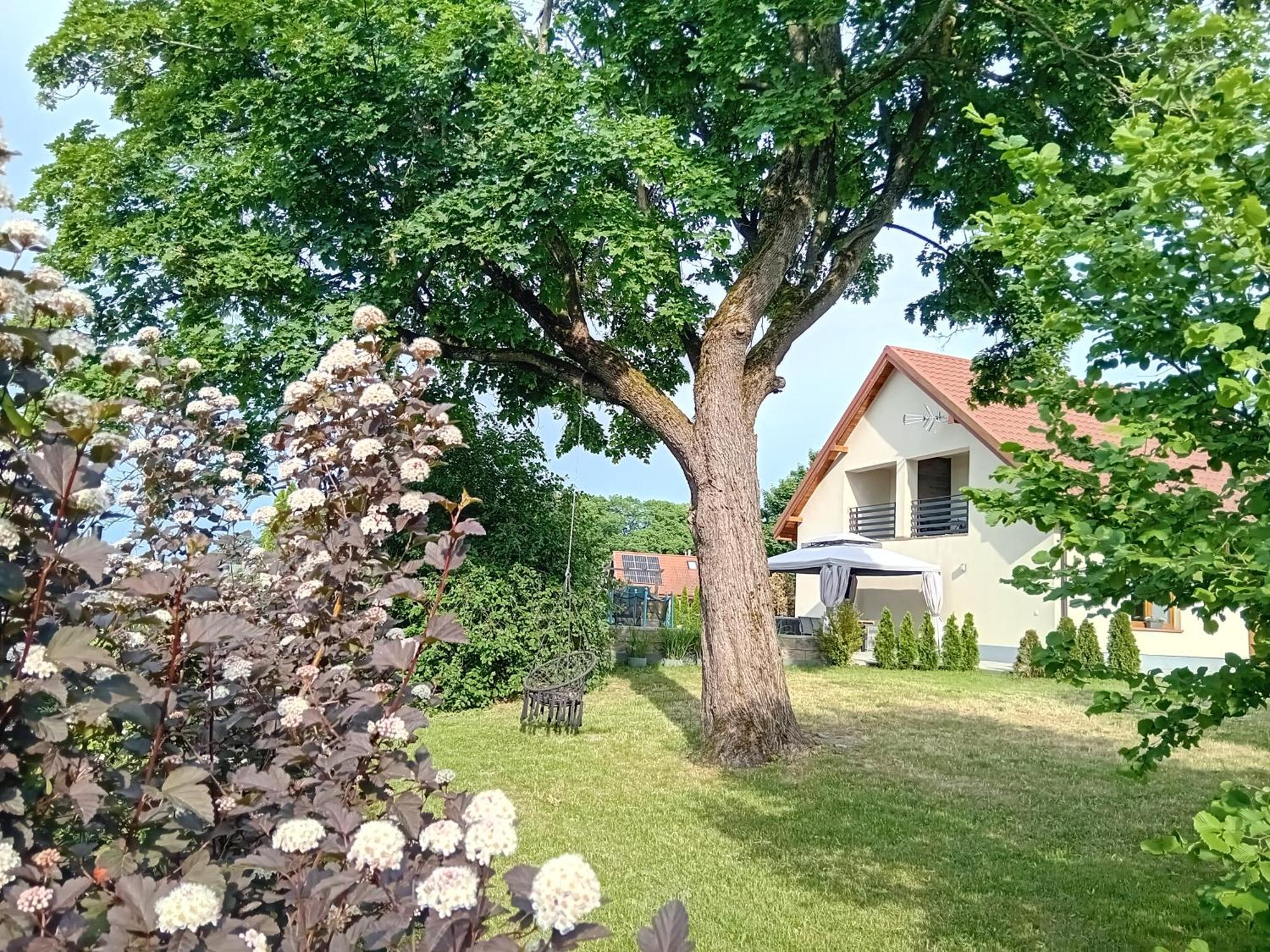 Pokoje Goscinne Sloneczny Klon Dabrowno Dabrówno Exterior foto