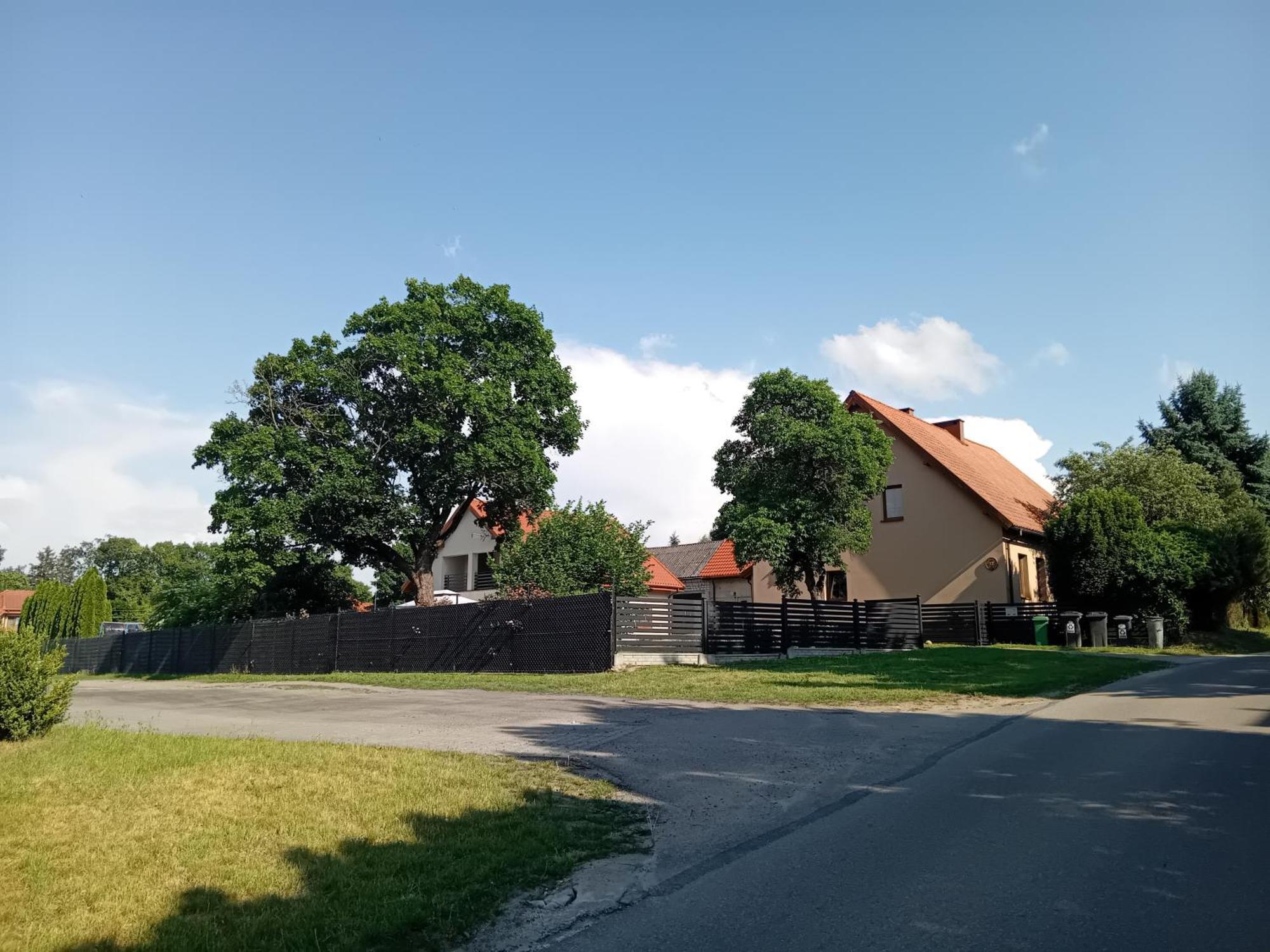 Pokoje Goscinne Sloneczny Klon Dabrowno Dabrówno Exterior foto
