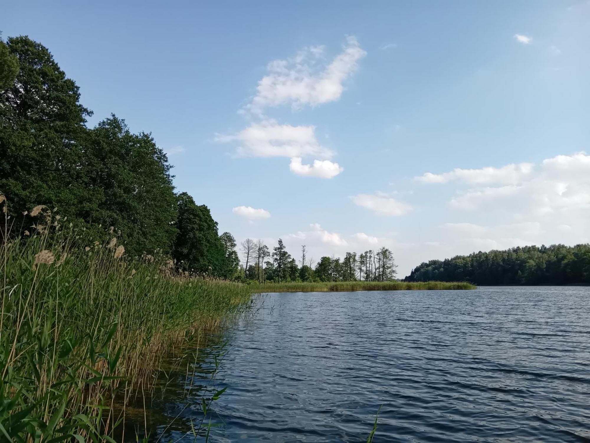 Pokoje Goscinne Sloneczny Klon Dabrowno Dabrówno Exterior foto