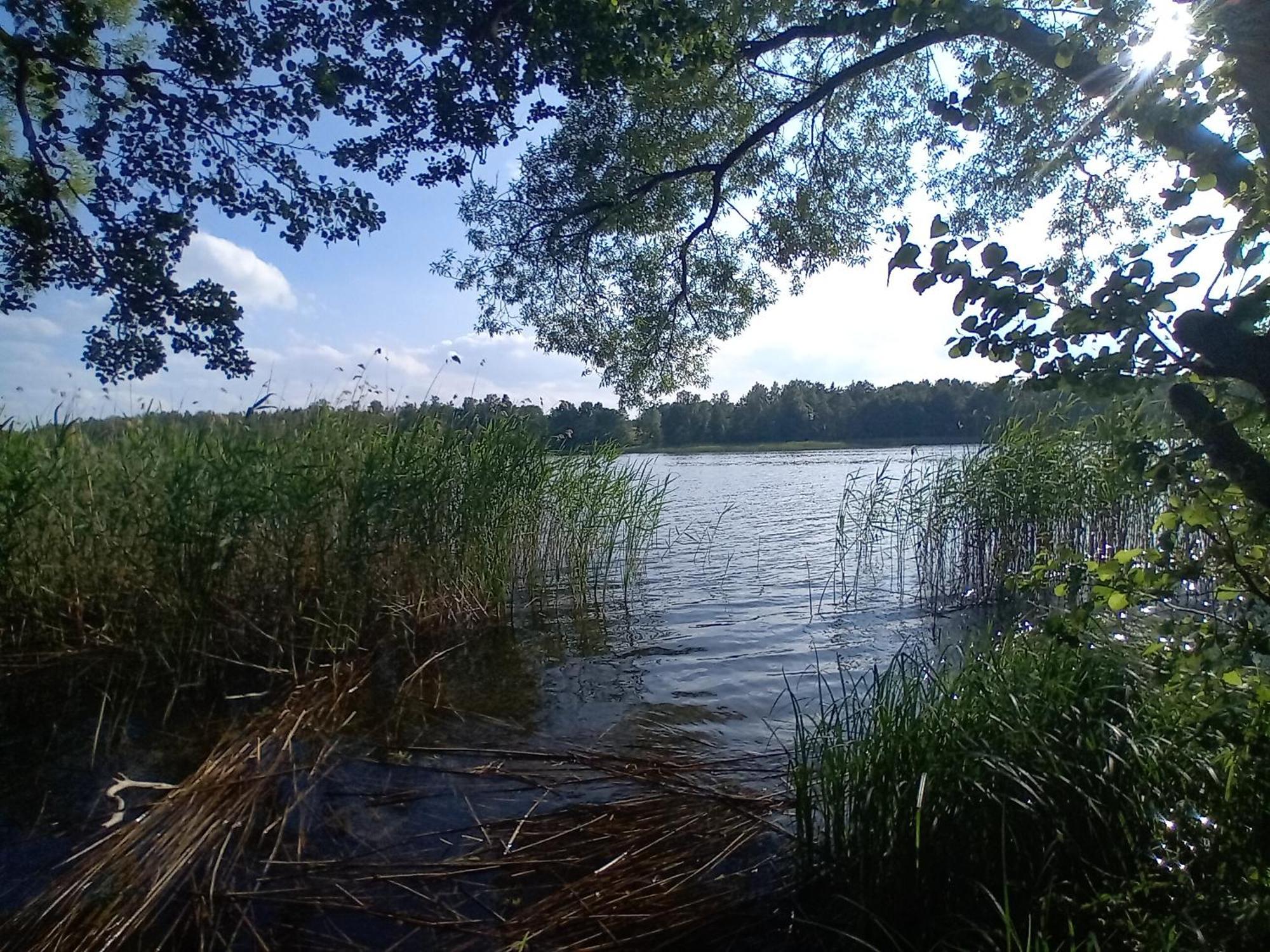 Pokoje Goscinne Sloneczny Klon Dabrowno Dabrówno Exterior foto