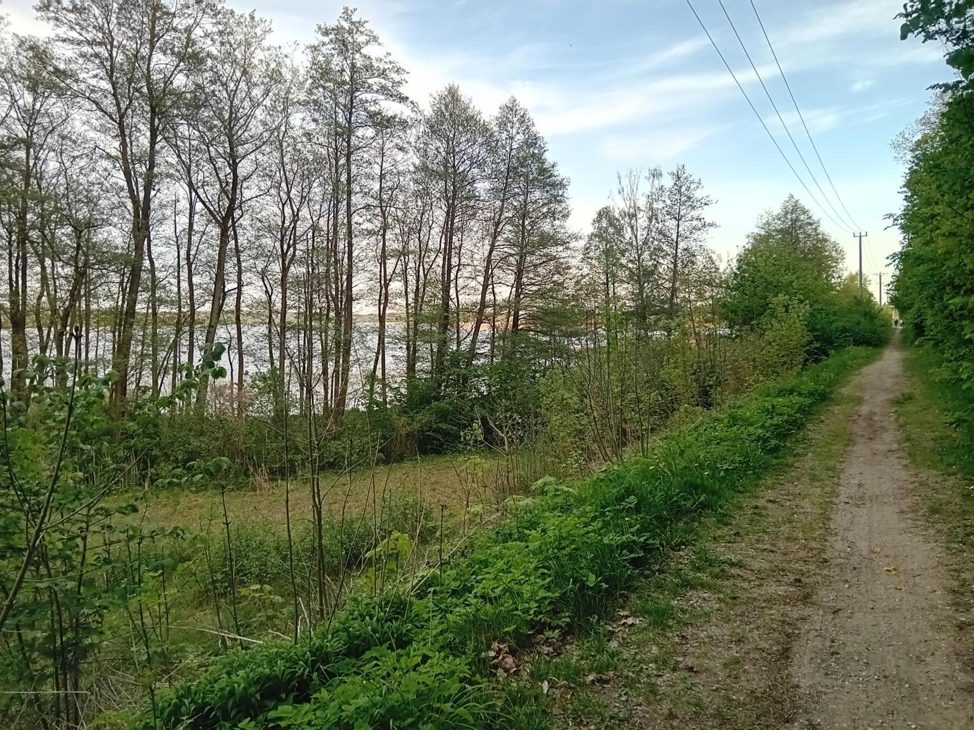 Pokoje Goscinne Sloneczny Klon Dabrowno Dabrówno Exterior foto