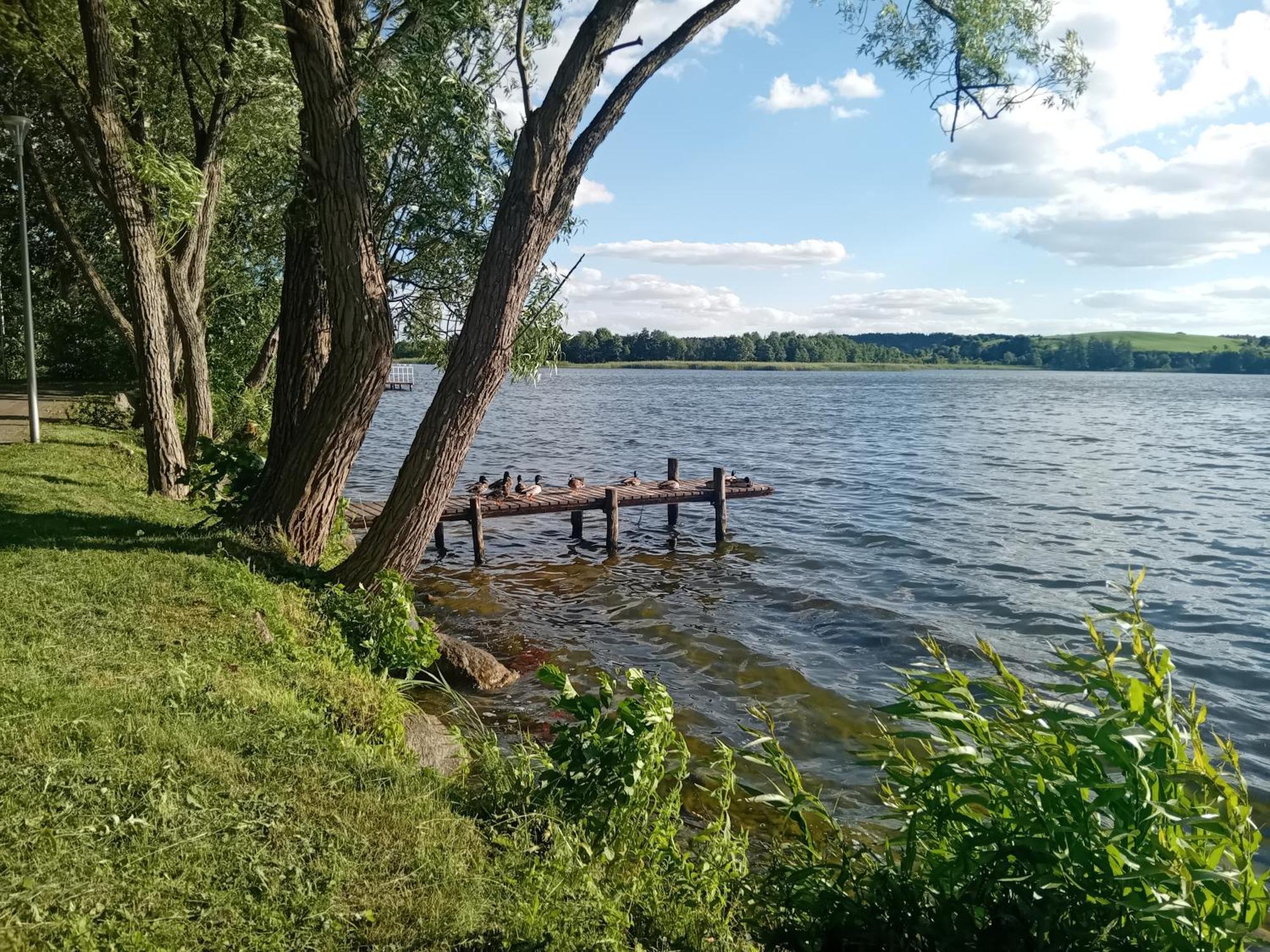 Pokoje Goscinne Sloneczny Klon Dabrowno Dabrówno Exterior foto