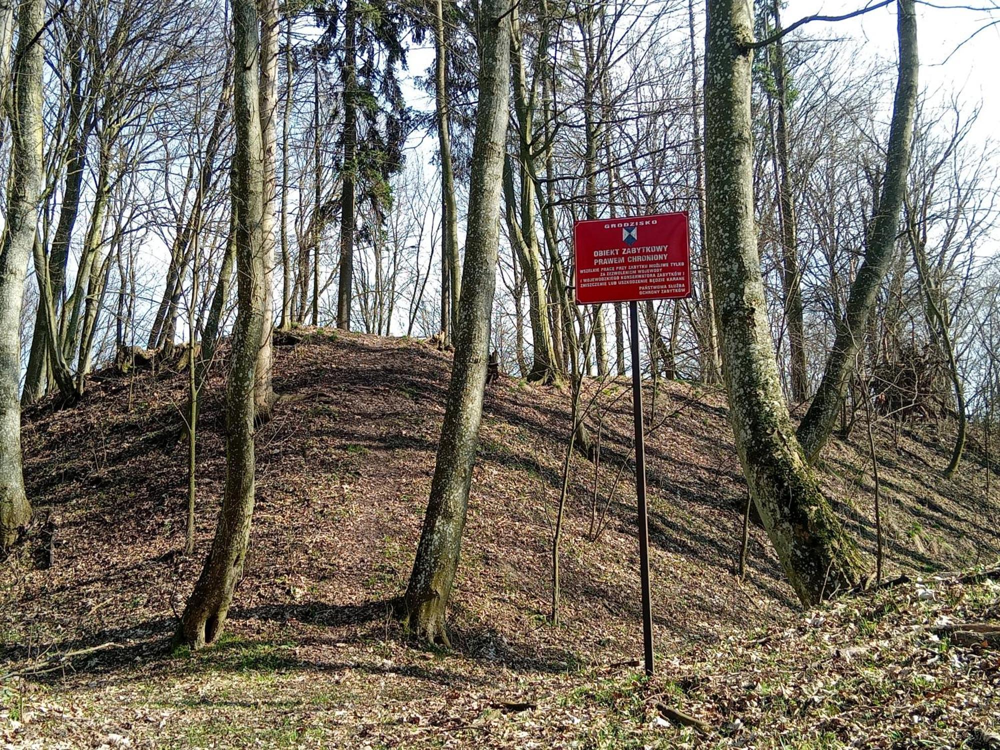 Pokoje Goscinne Sloneczny Klon Dabrowno Dabrówno Exterior foto