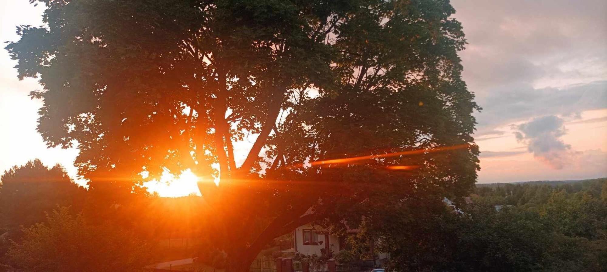 Pokoje Goscinne Sloneczny Klon Dabrowno Dabrówno Exterior foto