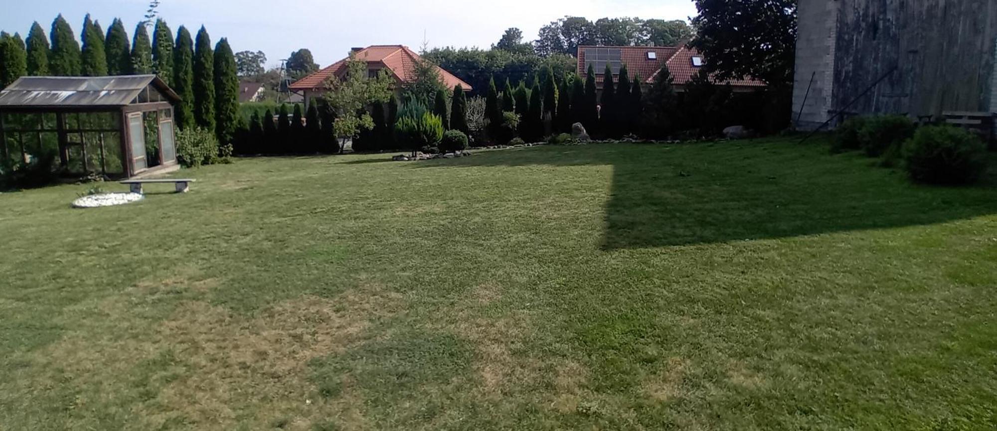Pokoje Goscinne Sloneczny Klon Dabrowno Dabrówno Exterior foto