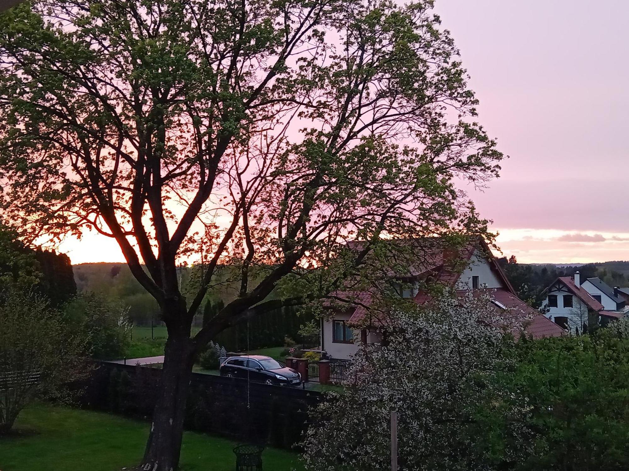 Pokoje Goscinne Sloneczny Klon Dabrowno Dabrówno Quarto foto
